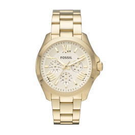 Uhrenarmband Fossil AM4510 Stahl Vergoldet 20mm