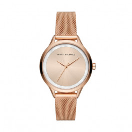 Uhrenarmband Armani Exchange AX5602 Stahl Rosé 16mm