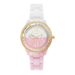 Fossil Uhrenglieder CE1119. - Keramik - (2 stück)