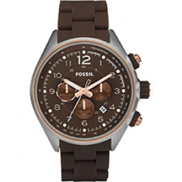 Uhrenarmband Fossil CH2727 Stahl Braun 22mm