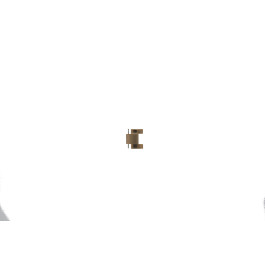 Fossil Uhrenglieder ES3003 - 18mm - (1 stück)