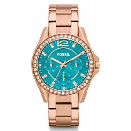 Fossil Uhrenglieder ES3385 - Stehlen - (2 stück)