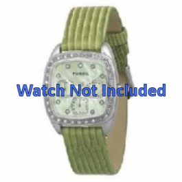 Uhrenarmband Fossil ES1010 Leder Grün 18mm