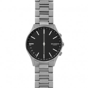 Uhrenarmband Skagen SKT1305 Titan 20mm