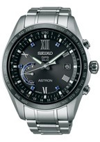 Uhrenarmband Seiko SSE117J1 / 8X22-0AH Titan 22mm