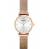 Uhrenarmband Armani AR1956 Stahl Rosé 14mm