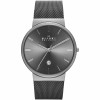 Uhrenarmband Skagen SKW6108 / 247XXX Milanese Grau 22mm