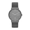 Uhrenarmband Skagen SKW6320 Leder Grau 20mm
