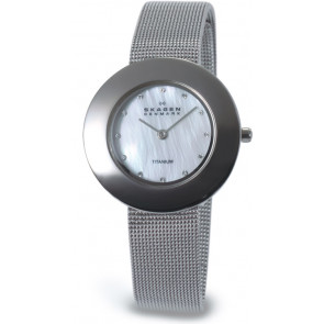 Uhrenarmband Skagen 569STW Titan Stahl