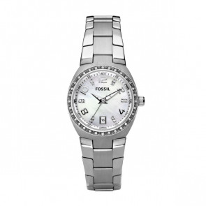 Uhrenarmband Fossil AM4141 Rostfreier Stahl Stahl 8mm