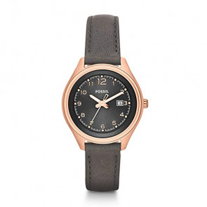 Uhrenarmband Fossil AM4500 Leder Braun 14mm