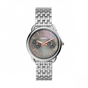 Uhrenarmband Fossil ES3911 Stahl