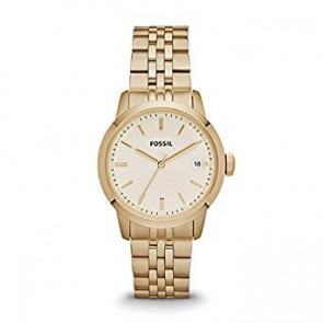 Uhrenarmband Fossil FS4821 Rostfreier Stahl Vergoldet 18mm