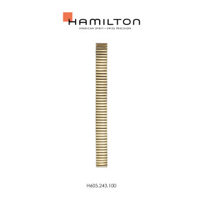 Uhrenarmband Hamilton H600.243.100 / STAAL Stahl Vergoldet 17mm