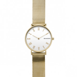 Uhrenarmband Skagen SKW2713 Stahl Vergoldet 16mm