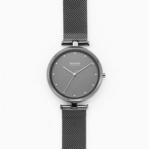 Uhrenarmband Skagen SKW2829 Milanese Grau 16mm