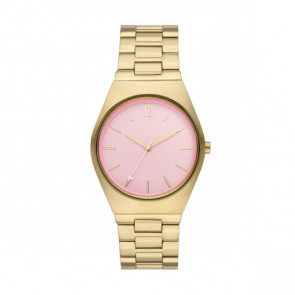 Uhrenarmband Skagen SKW6869 Stahl Vergoldet 22mm