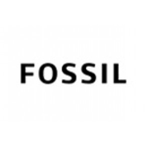 Uhrenarmband Fossil ES2811 (134XXXX) Stahl Rosé 18mm