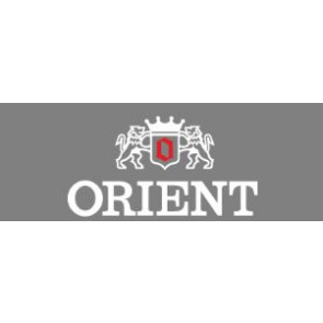 Uhrenarmband Orient UG1H-CO-A Stahl Stahl