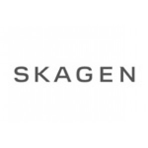 Uhrenarmband Skagen 358XSGS Milanese Stahl