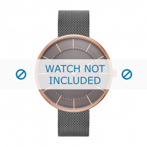 Skagen Uhrenarmband SKW2584 Metall Grau 16mm