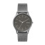 Uhrenarmband Skagen SKW6553 Milanese Grau 22mm
