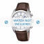 Festina Uhrenarmband F16779-2 Leder Braun 24mm + braunen nähte